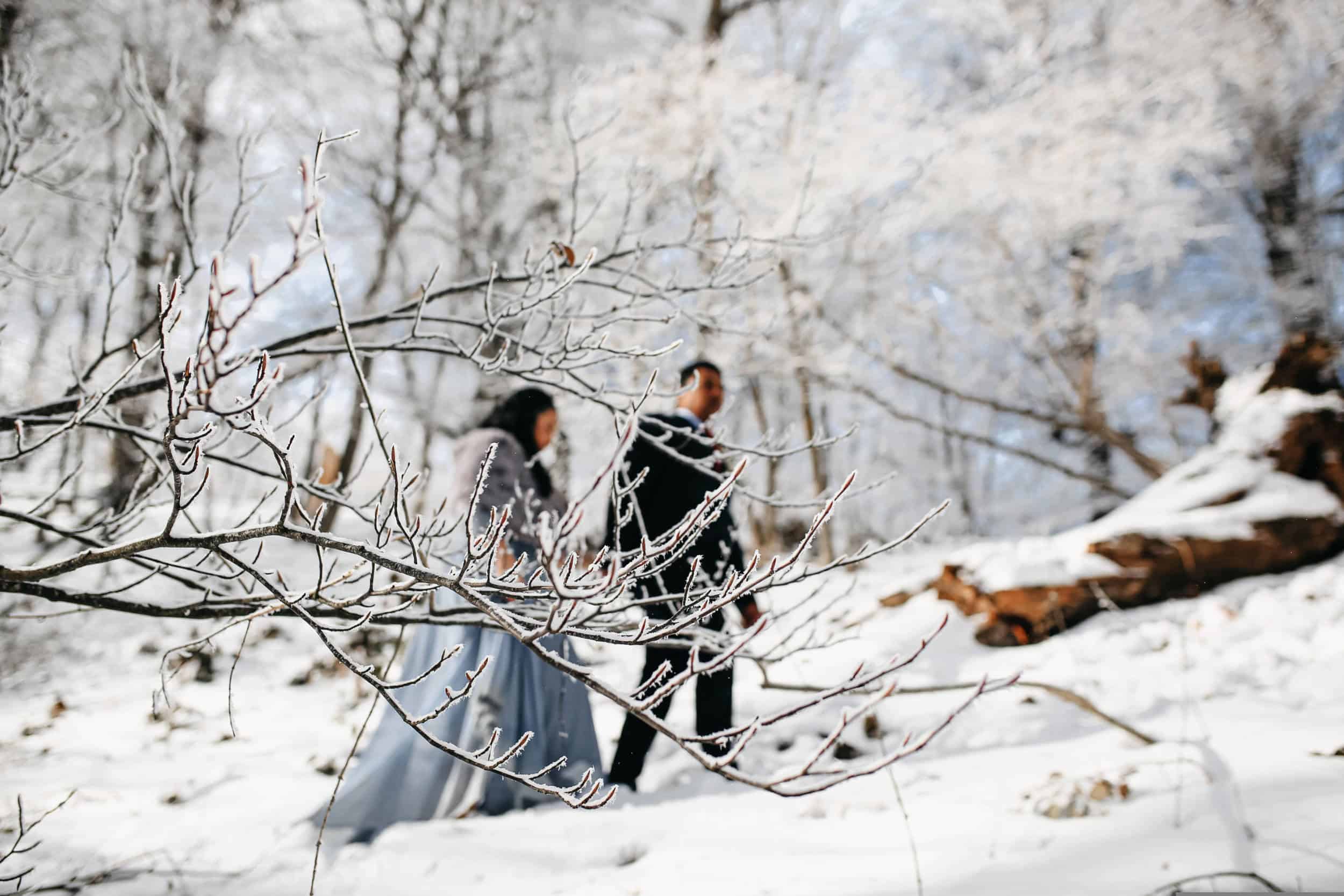 Brautpaar im Winter im Wald